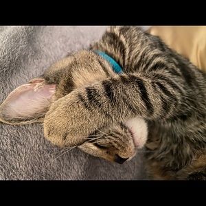 Meet your Posher, Ayanna